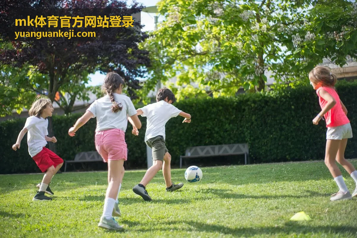 MK体育观赛指南专题封面图